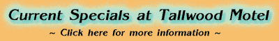 Click here for Current Specials!